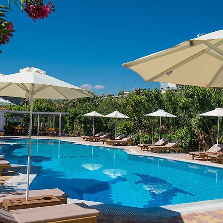Enorme Armonia Beach (Adults Only) Gazi Buitenkant foto